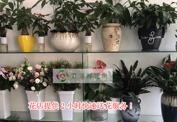 重庆江津区花店提供重庆江津区2小时快速送花服务